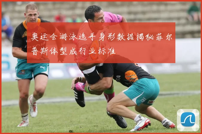 奥运会游泳选手身形数据揭秘菲尔普斯体型成行业标准